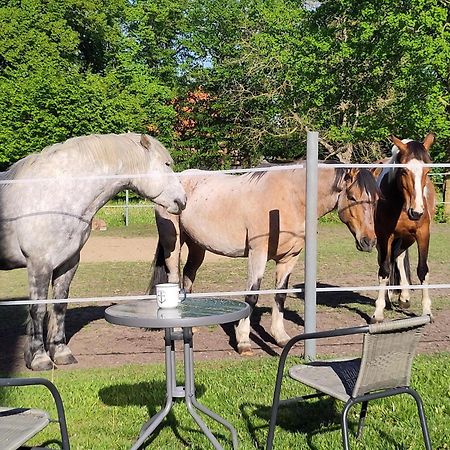 Ferienwohnung Zur Pferdekoppel Bomitz Luaran gambar